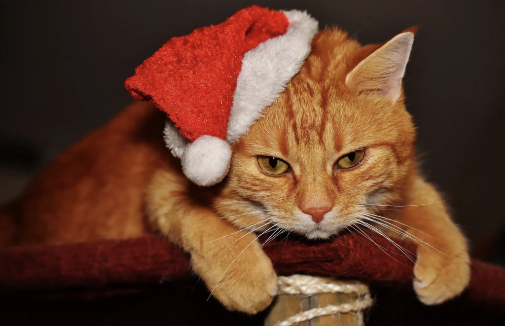 Festive cat sitting among holiday shopping bags and gifts for Black Friday and Cyber Monday deals