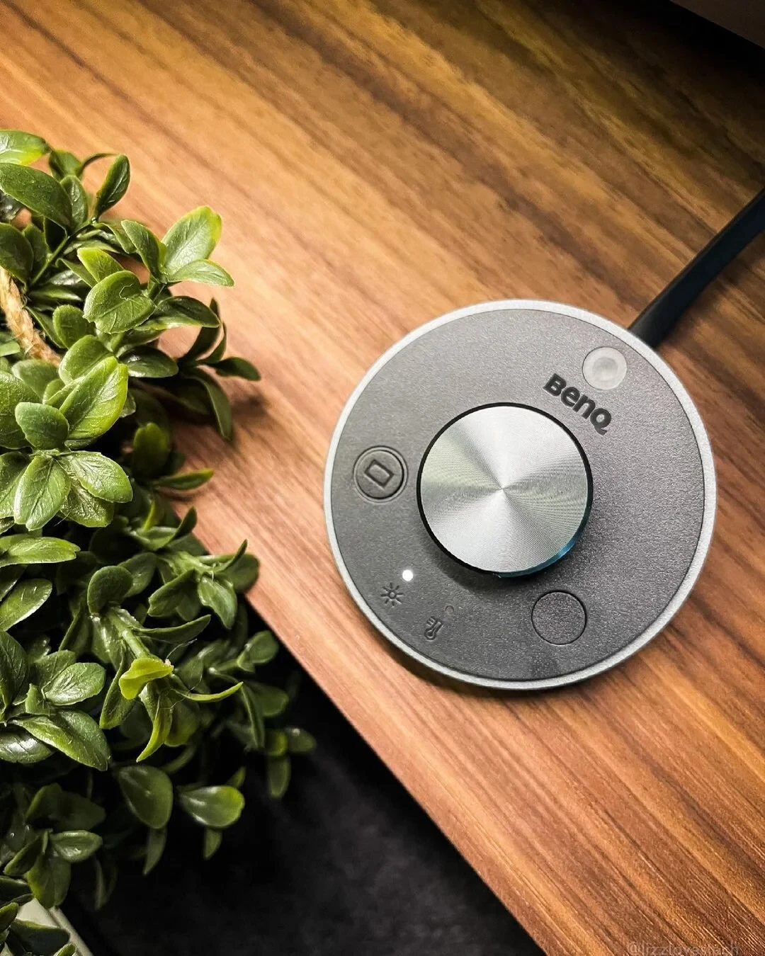 BenQ ScreenBar Plus controller dial sitting on LizzLovesTech's wooden desk shelf next to a plant